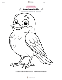 American Robin coloring page for kids