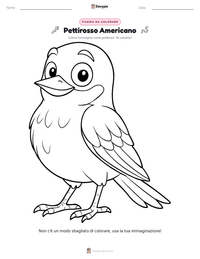 Pagina da colorare di Pettirosso Americano per bambini