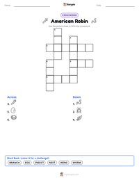 American Robin printable worksheet preview