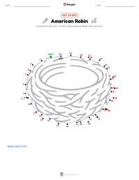 American Robin printable worksheet preview