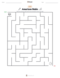 American Robin printable worksheet preview