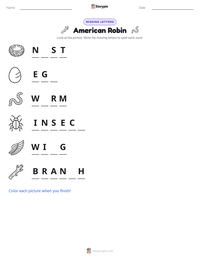 American Robin printable worksheet preview