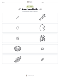 American Robin printable worksheet preview