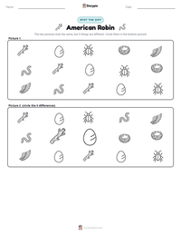 American Robin printable worksheet preview
