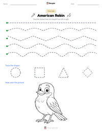 American Robin printable worksheet preview
