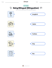 Being Bilingual (Bilingualism) printable worksheet for kids
