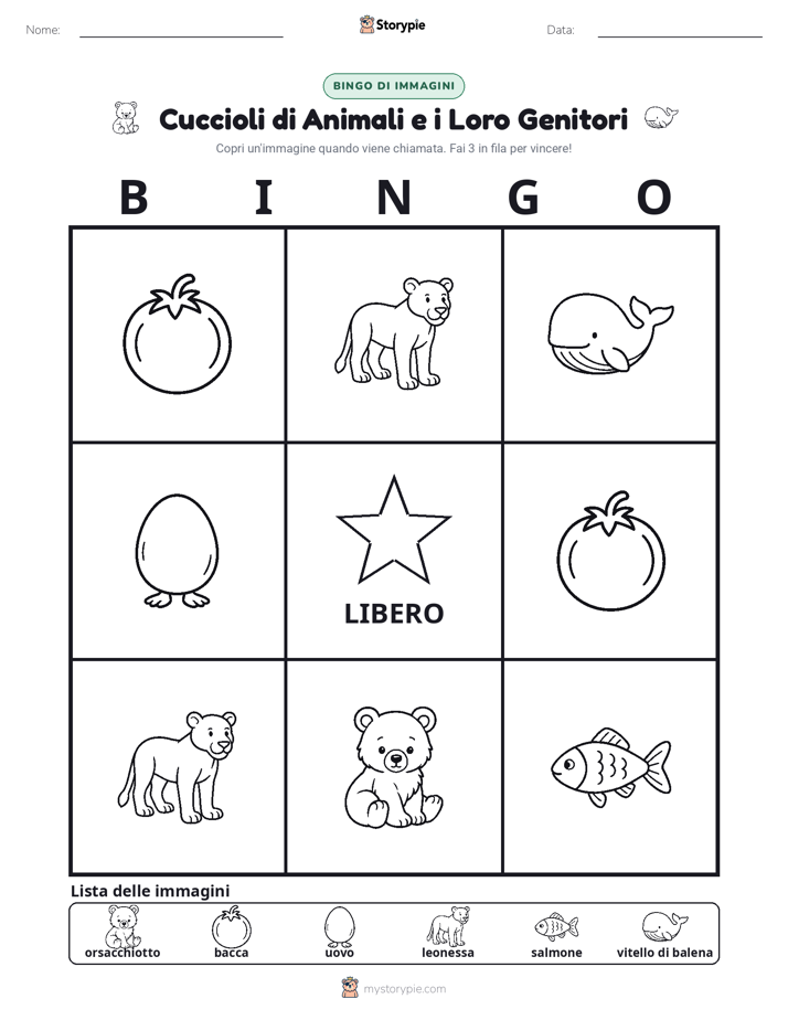 Bingo delle Immagini