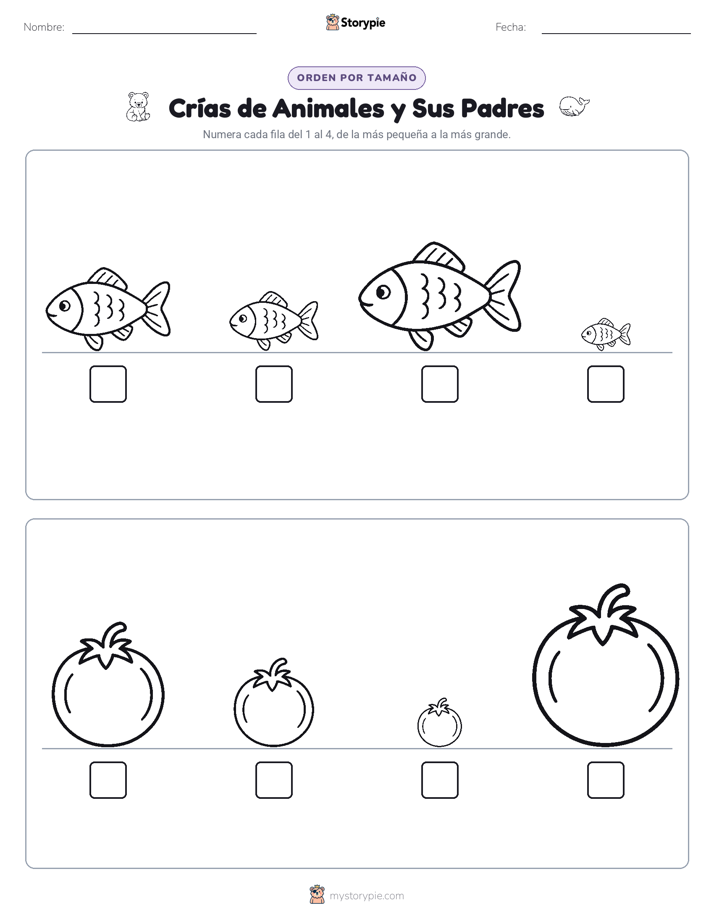 Orden de Tamaños