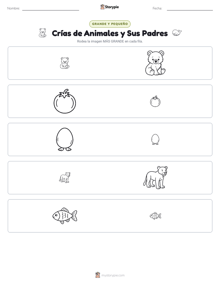 Clasificación