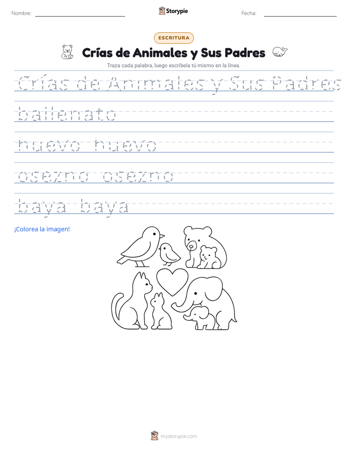 Práctica de Escritura