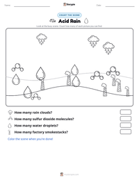 Acid Rain printable worksheet preview