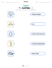 Acid Rain printable worksheet for kids