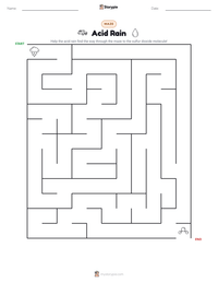 Acid Rain printable worksheet preview