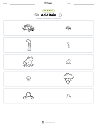 Acid Rain printable worksheet preview