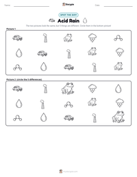 Acid Rain printable worksheet preview