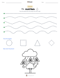 Acid Rain printable worksheet preview