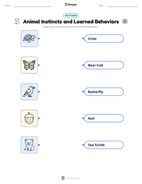 Animal Instincts and Learned Behaviors printable worksheet for kids