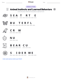 Animal Instincts and Learned Behaviors printable worksheet preview