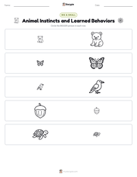 Animal Instincts and Learned Behaviors printable worksheet preview