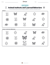 Animal Instincts and Learned Behaviors printable worksheet preview