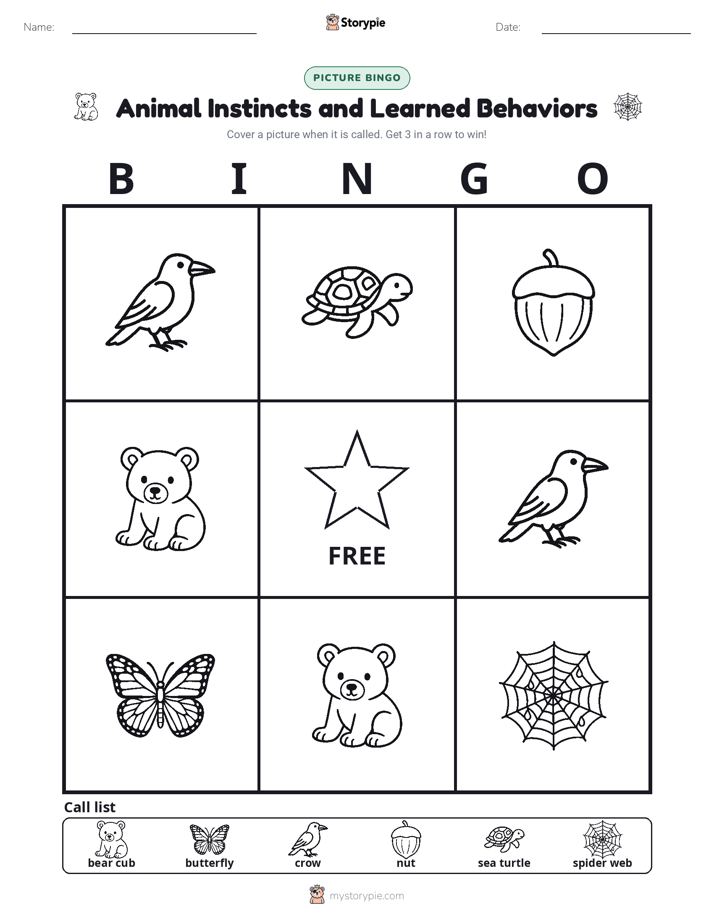 Picture Bingo
