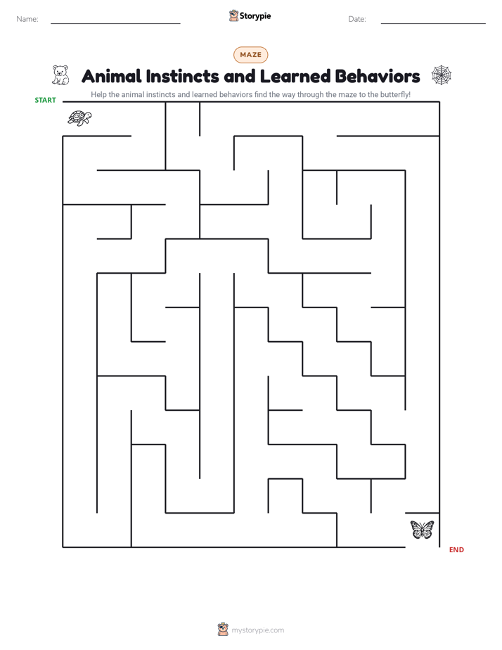 Maze