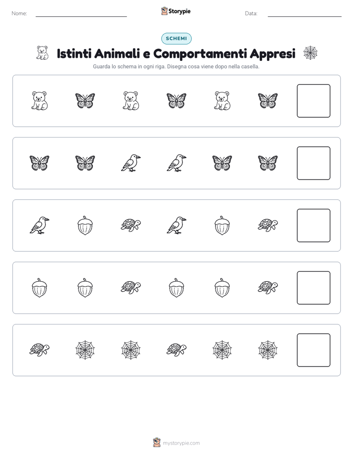Pattern