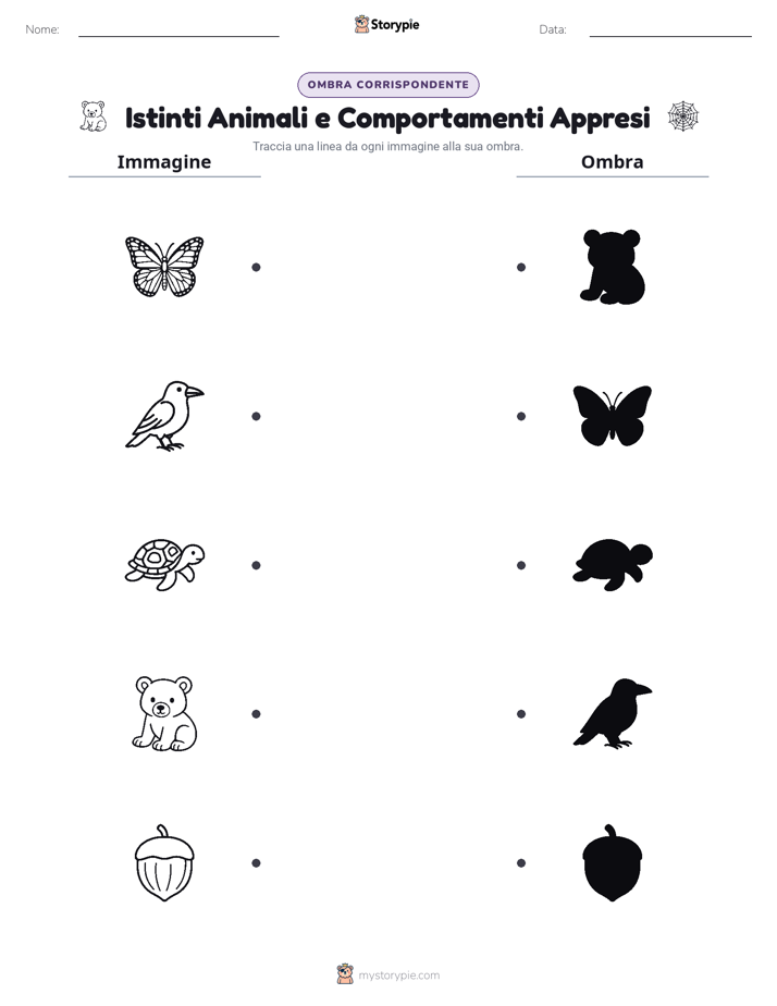 Corrispondenza Ombra