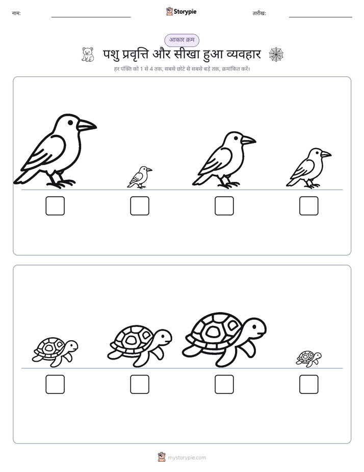 आकार क्रम