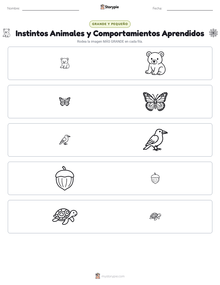Clasificación