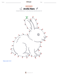 Arctic Hare printable worksheet preview