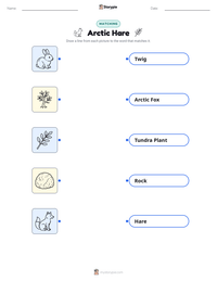 Arctic Hare printable worksheet for kids