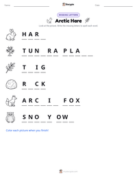 Arctic Hare printable worksheet preview