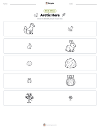 Arctic Hare printable worksheet preview