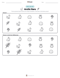 Arctic Hare printable worksheet preview