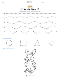 Arctic Hare printable worksheet preview