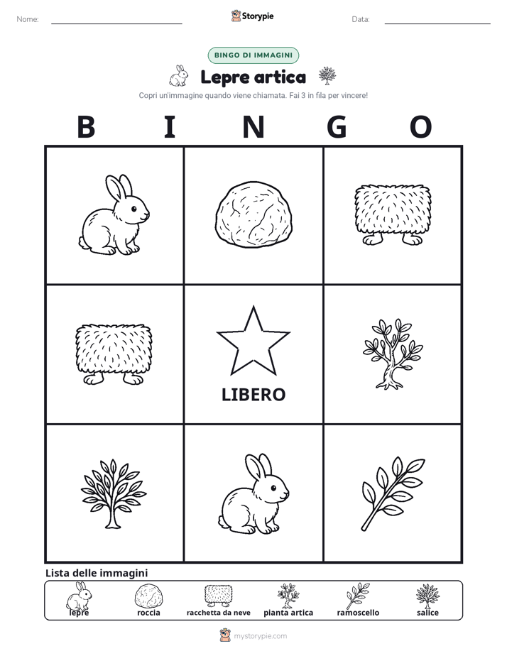 Bingo delle Immagini