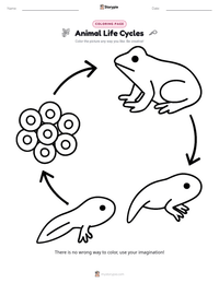 Animal Life Cycles coloring page for kids
