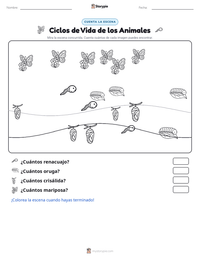 Vista previa de la hoja de trabajo imprimible de Ciclos de Vida de los Animales