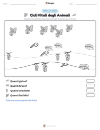Anteprima della scheda stampabile di Cicli Vitali degli Animali