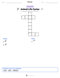 Animal Life Cycles printable worksheet preview