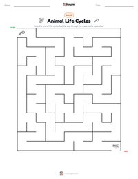 Animal Life Cycles printable worksheet preview