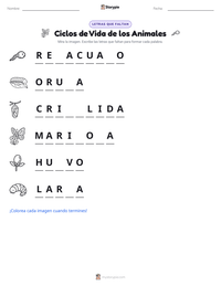 Vista previa de la hoja de trabajo imprimible de Ciclos de Vida de los Animales