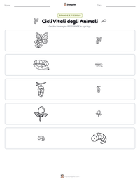 Anteprima della scheda stampabile di Cicli Vitali degli Animali