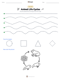 Animal Life Cycles printable worksheet preview