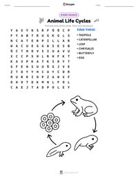Animal Life Cycles printable worksheet preview