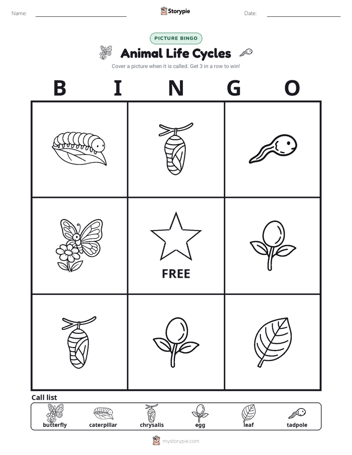 Picture Bingo