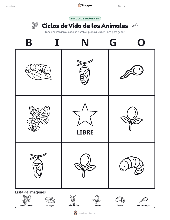 Bingo de Imágenes