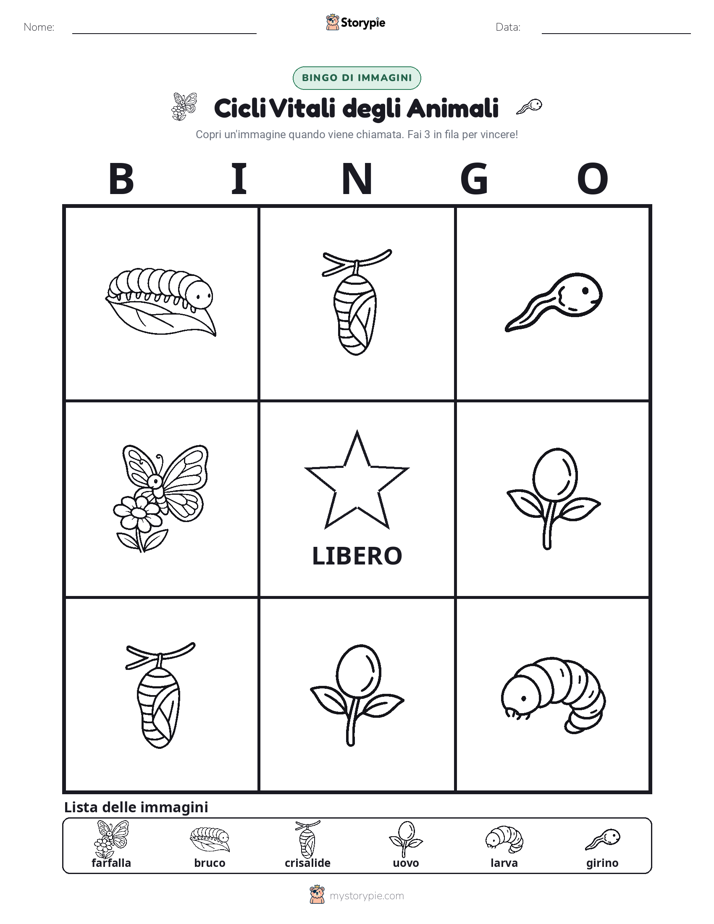 Bingo delle Immagini