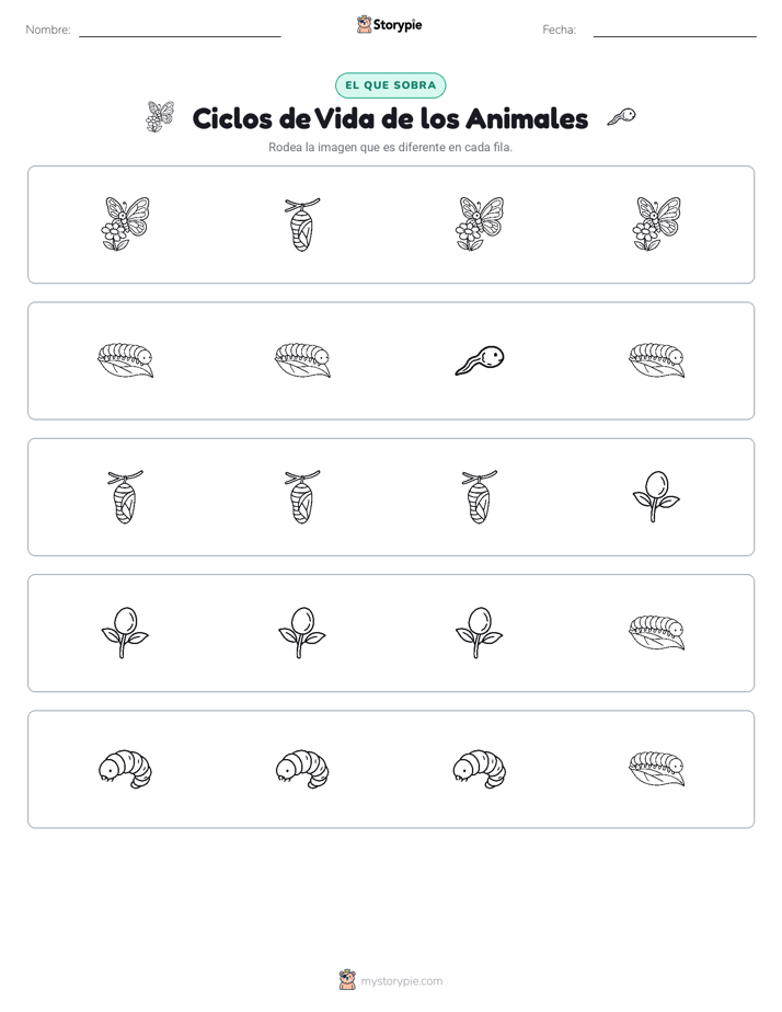 El Que No Encaja